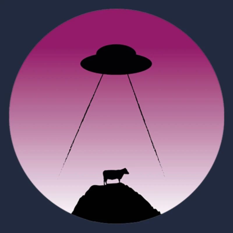 Alien abduction