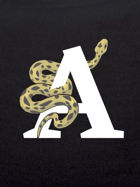 Letter to snake