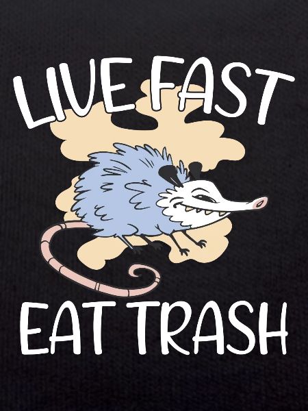 Opossum Trash Opossum Retro