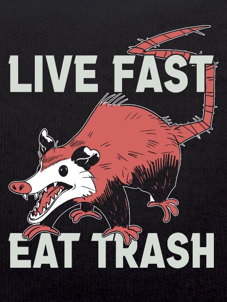 Opossum Trash Opossum Retro