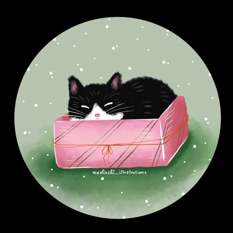 Chat dans la boîte