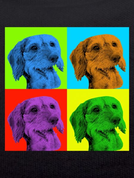 Dachshund x 4