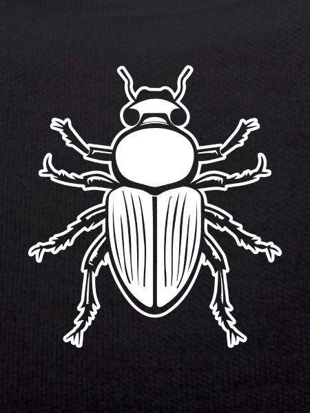 Insectes, bestioles, arthropodes