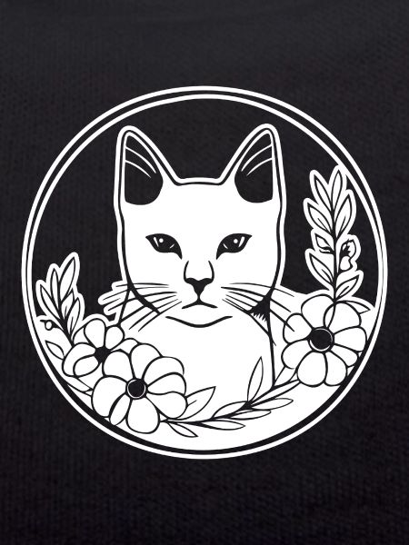 Chat chaton chaton dame