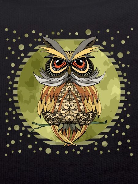 Owl bird