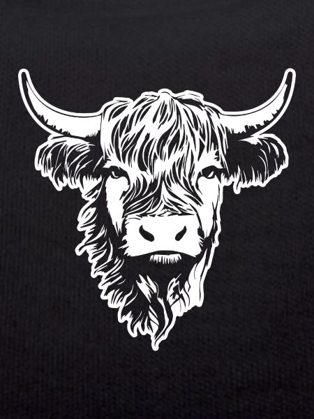Scottish Highland cow