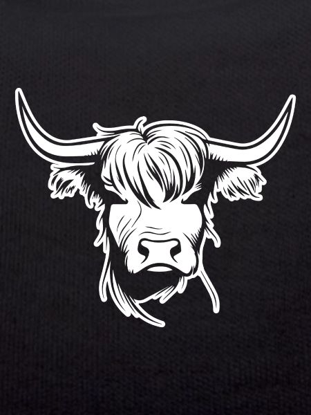 Scottish Highland cow