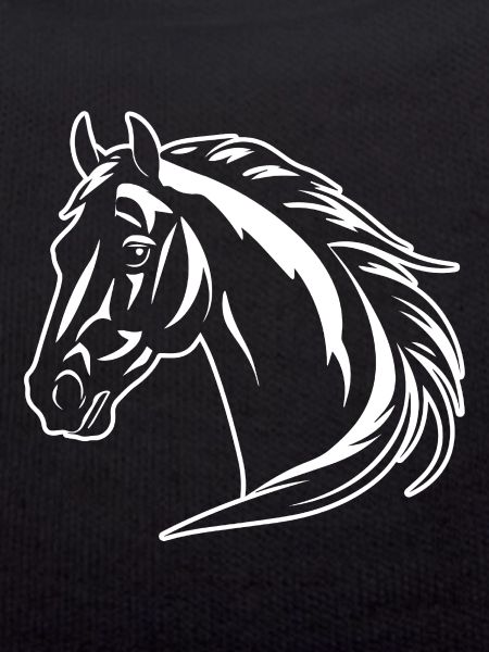 Pferd Pferdekopf Pony