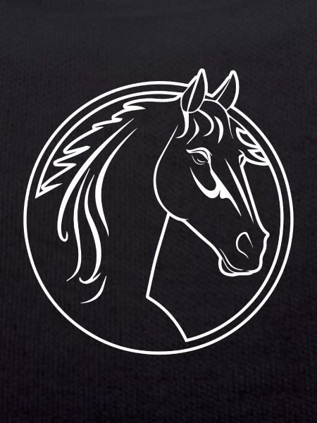 Pferd Pferdekopf Pony