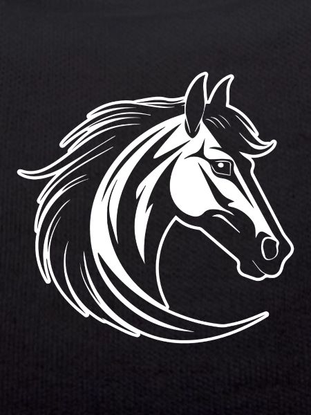 Pferd Pferdekopf Pony