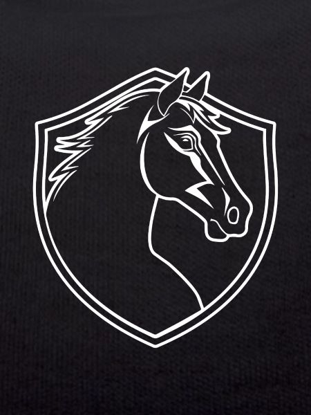 Pferd Pferdekopf Pony