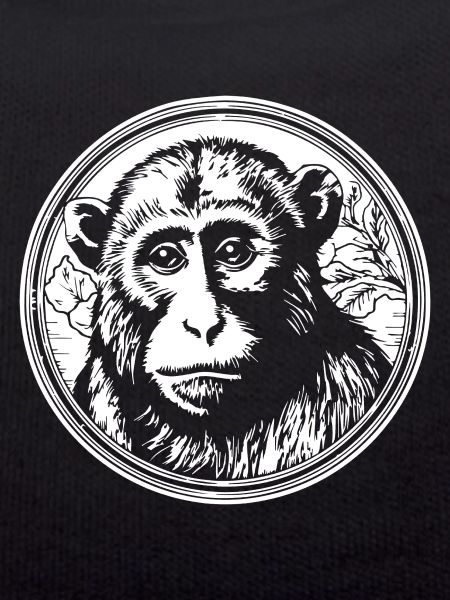 Affe Affen Affengesicht Dschungel