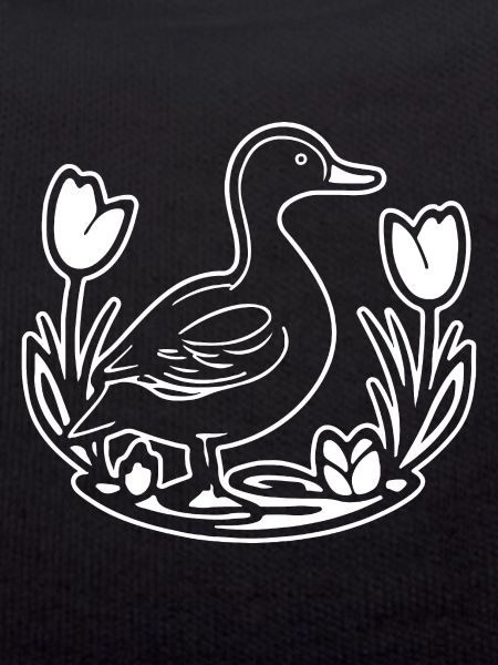 Duck Birds Ducks