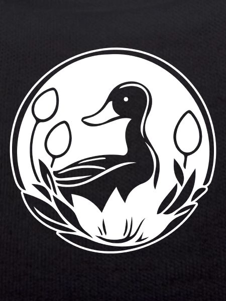 Duck Birds Ducks