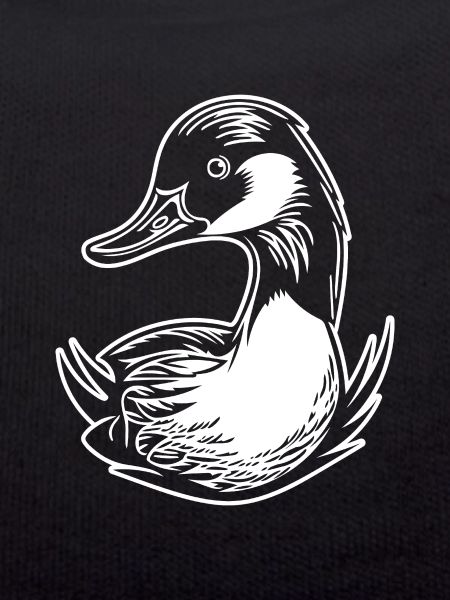 Duck Birds Ducks