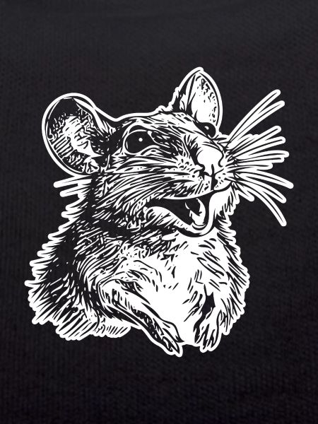 Rat, Mouse, Rodent, Rats