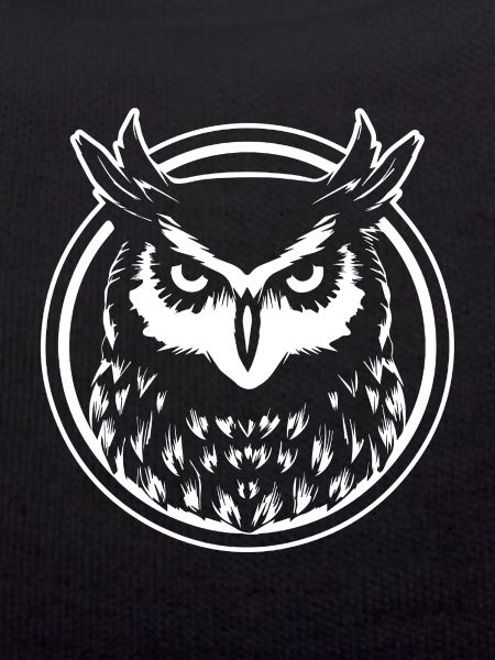 Owl Owl Bird Birds