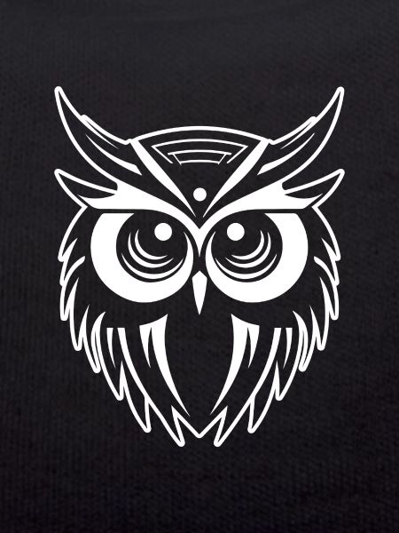Owl Owl Bird Birds
