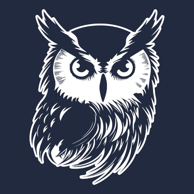 Owl Owl Bird Birds