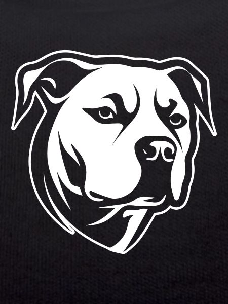 Pitbull