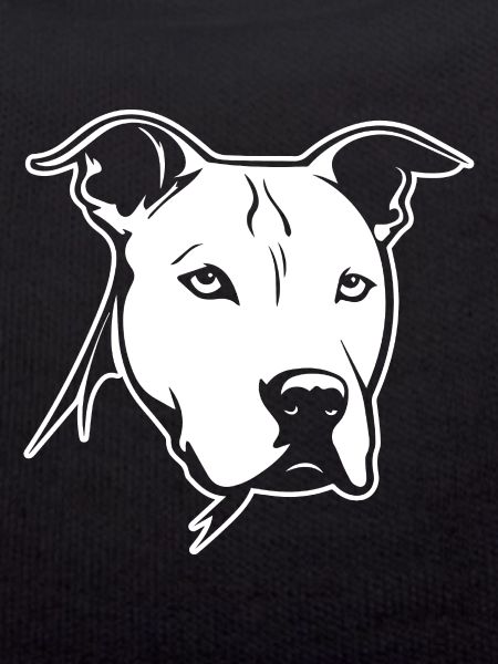 Pitbull