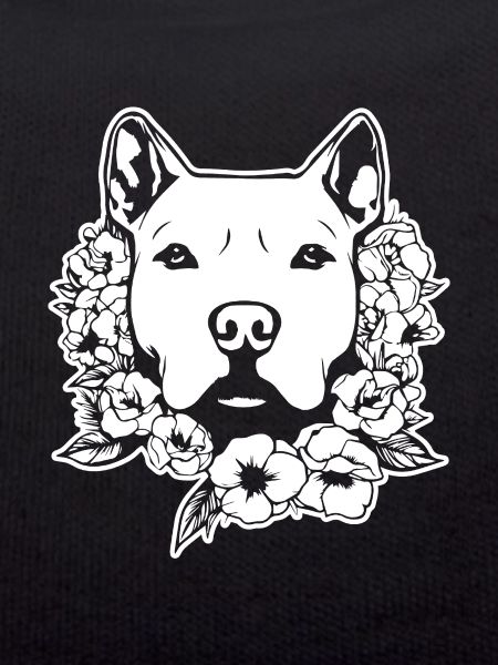 Pitbull