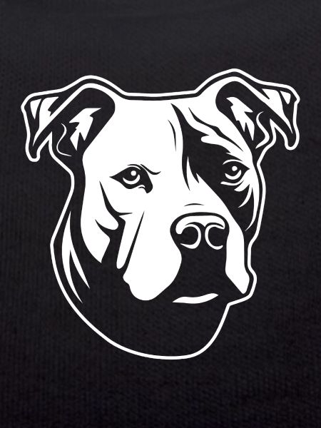 Pitbull