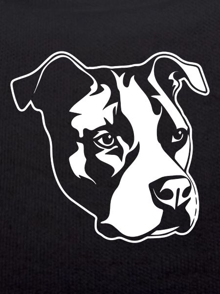 Pitbull