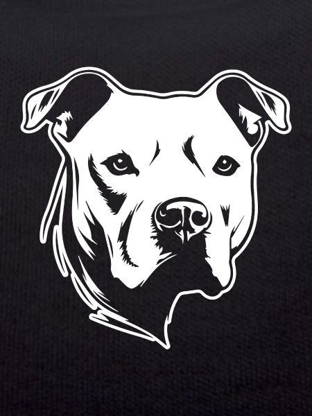 Pitbull