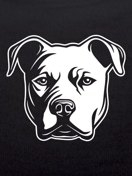 Pitbull