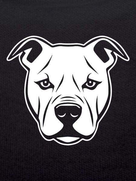 Pitbull