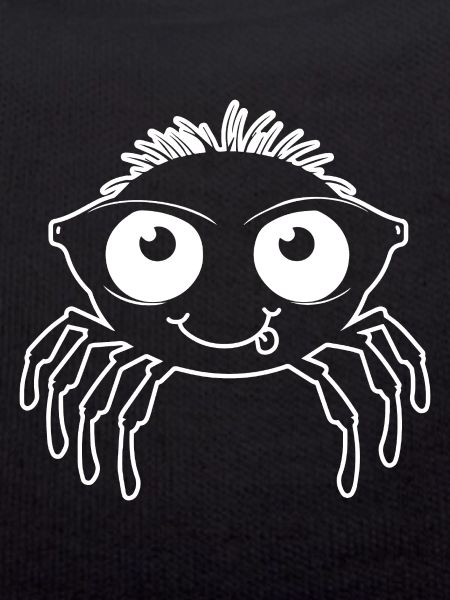 Spider spiders animals