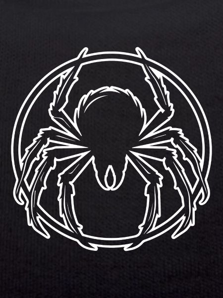 Spider spiders animals