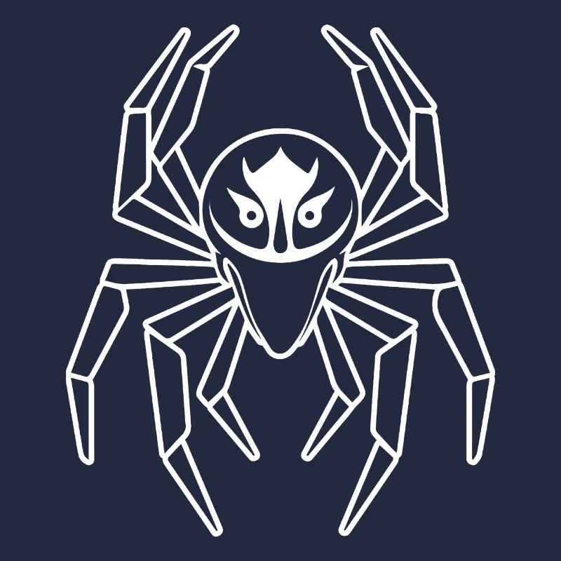 Spinne Spinnen Tiere