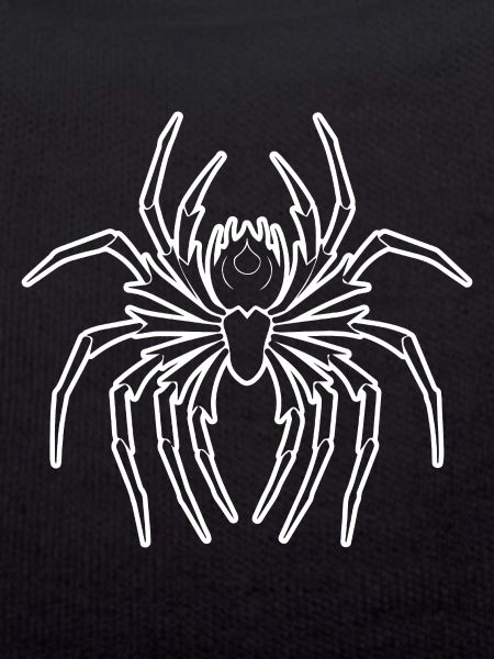 Spider spiders animals