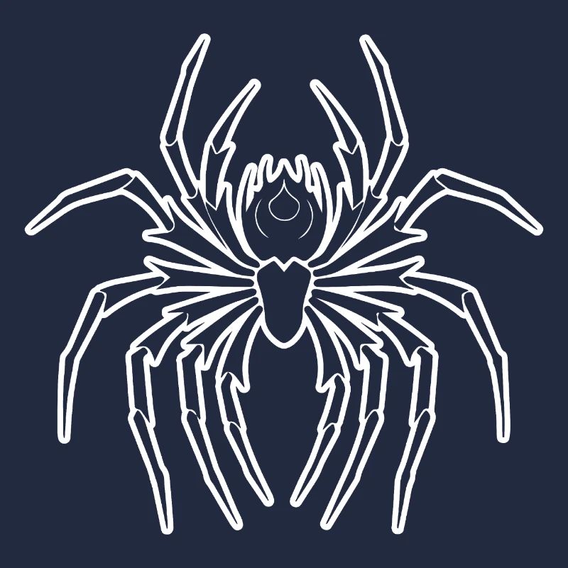 Spinne Spinnen Tiere