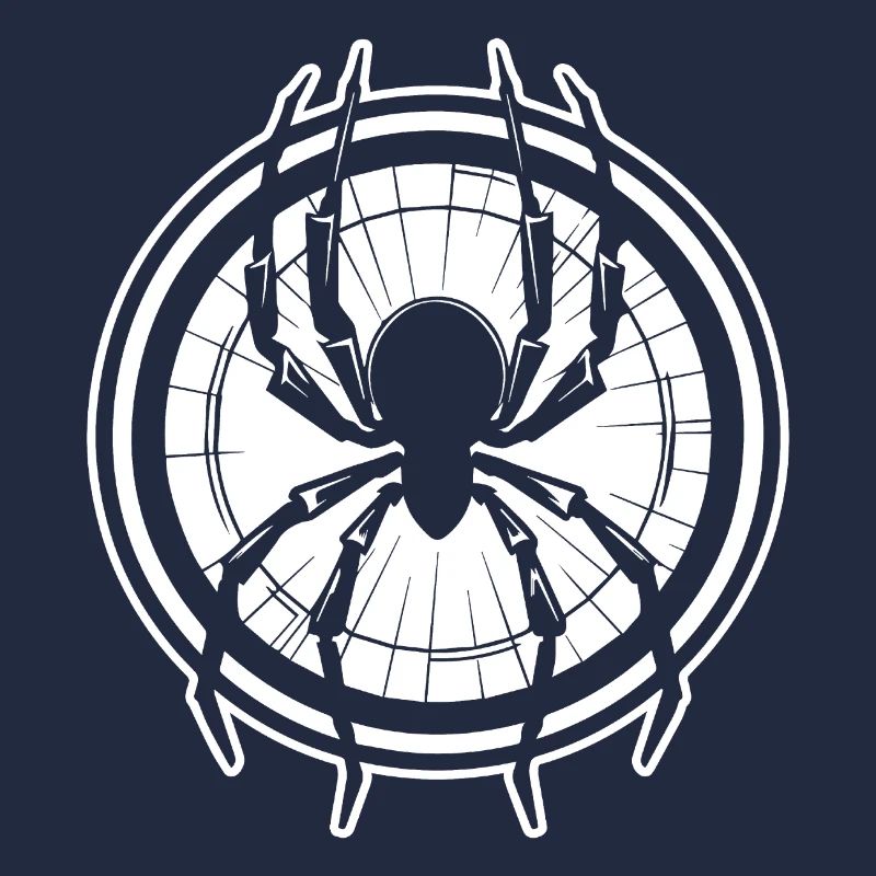 Spider spiders animals