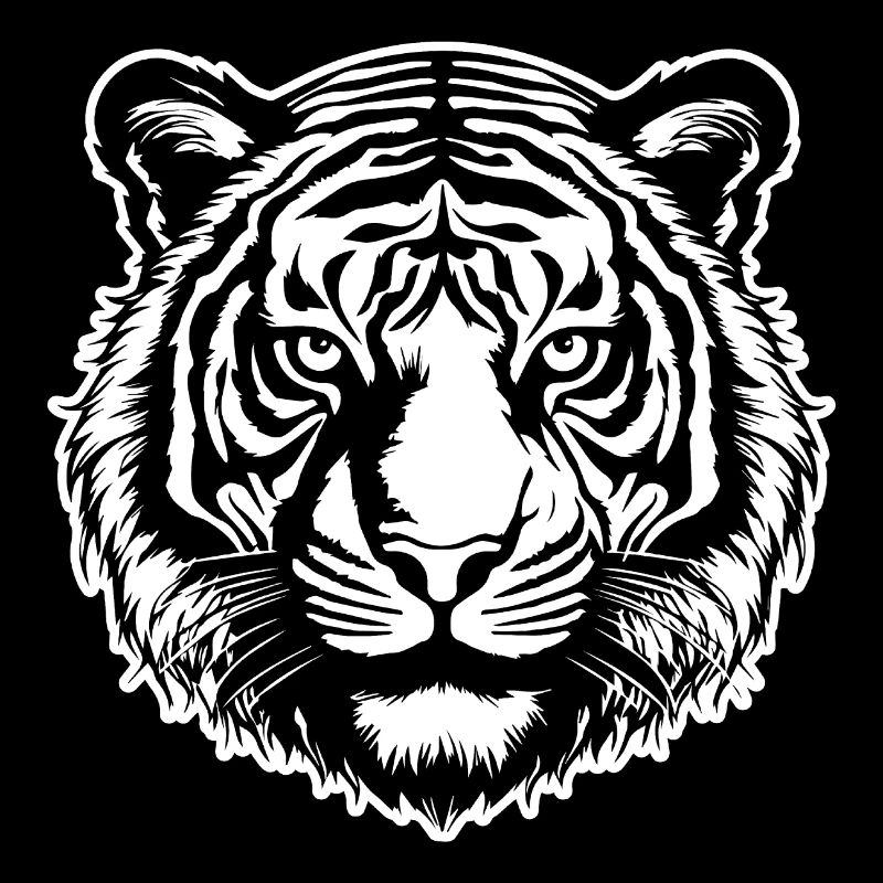 Tiger Big Cat