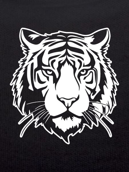 Tiger Big Cat
