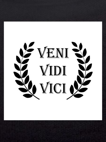 Veni Vidi Vici Design