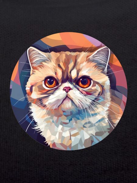 Exotic Shorthair Cat