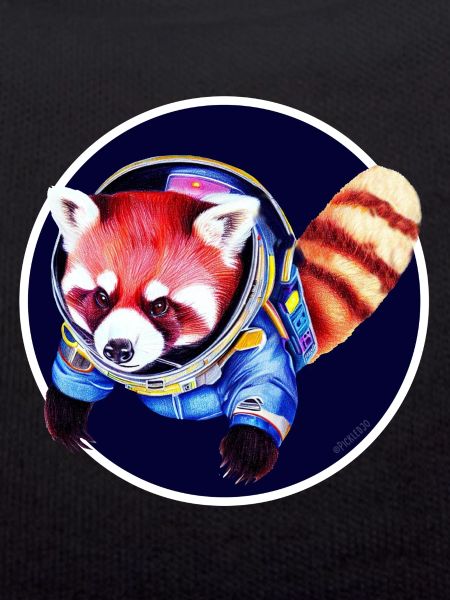 Weltraum-Panda