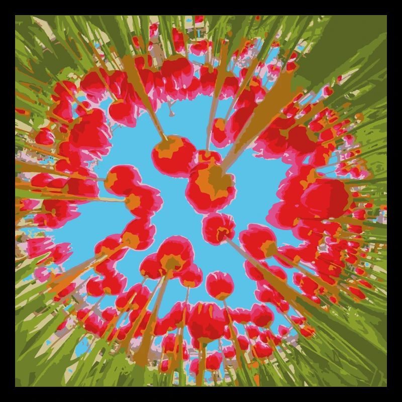 TULPEN