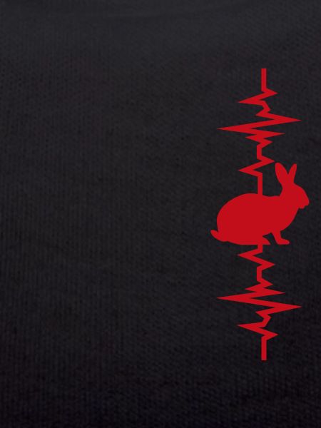 Rabbit heartbeat