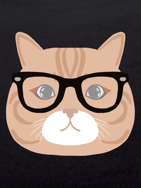 Cat with glasses