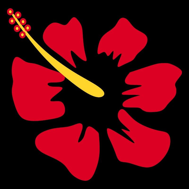 Blume rot rote Blumen rot rote Blumen Hibiskus