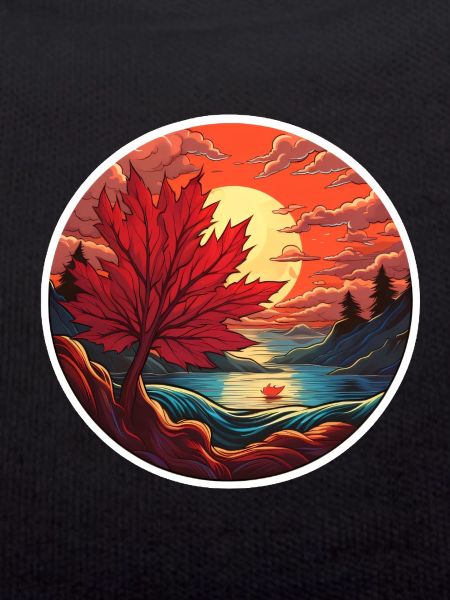 Maple leaf at sunset