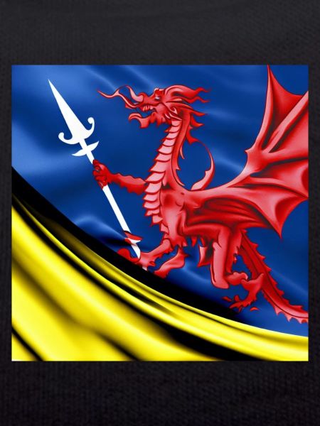 dragon flag spear