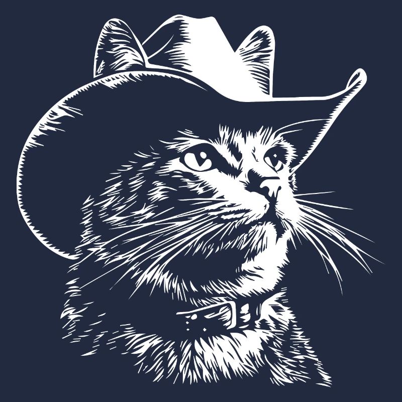 Drôle de chat cow-boy