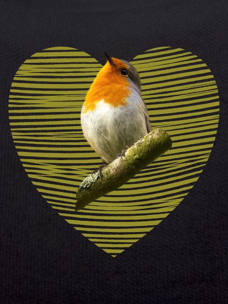 Robin Bird